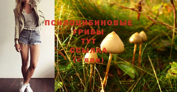 мдпв Каменка