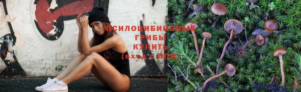 ешки Алзамай