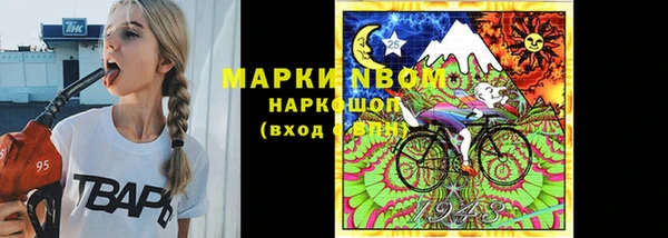 ешки Алзамай