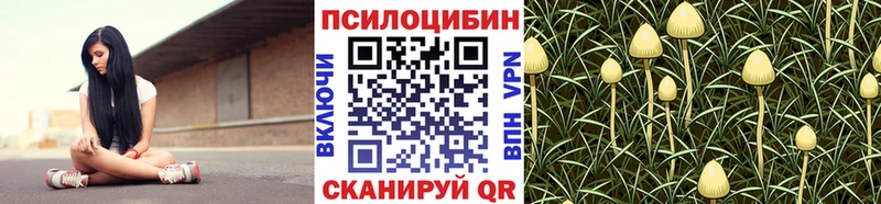 где купить   Владимир  kraken маркетплейс  Галлюциногенные грибы Magic Shrooms 